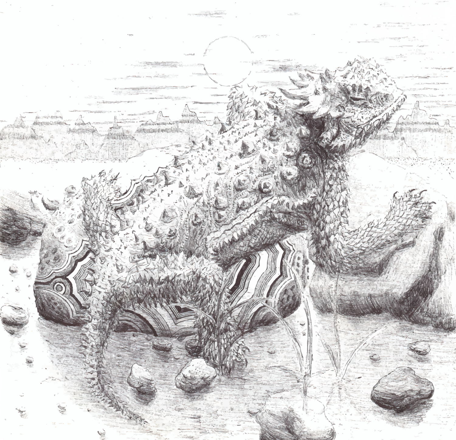 Horny Toad